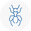 Ant Removals In Basingstoke