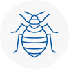 Bed Bug Extermination In Basingstoke
