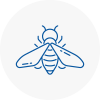 Bee Nest Removal Basingstoke
