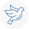 Bird Prevention Basingstoke
