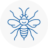 Basingstoke Hornet Nest Removals