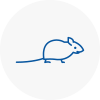 Mice Exterminators In Basingstoke