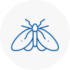 Moth Control Specialists In Basingstoke