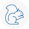 Basingstoke Rodent Removals