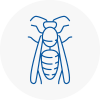 Basingstoke Wasp Nest Removal